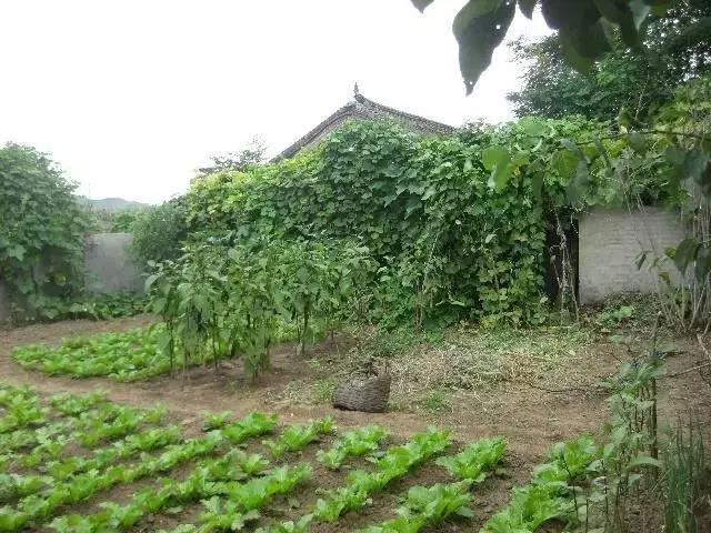 微信图片_20200220075740.jpg