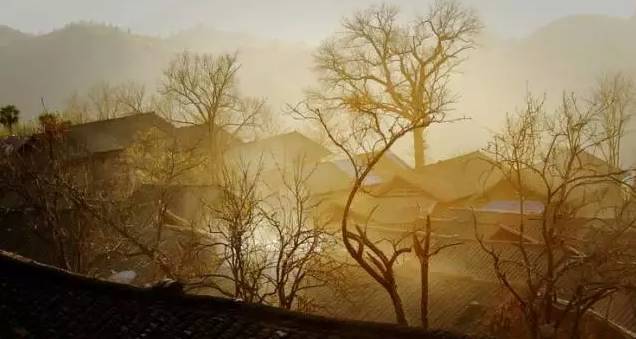 微信图片_20200220075811.jpg